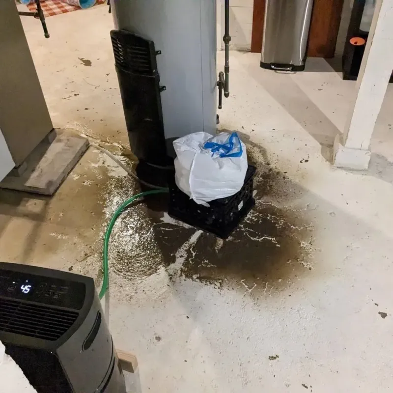 Sewage Backup Cleanup Service in Walden, CO